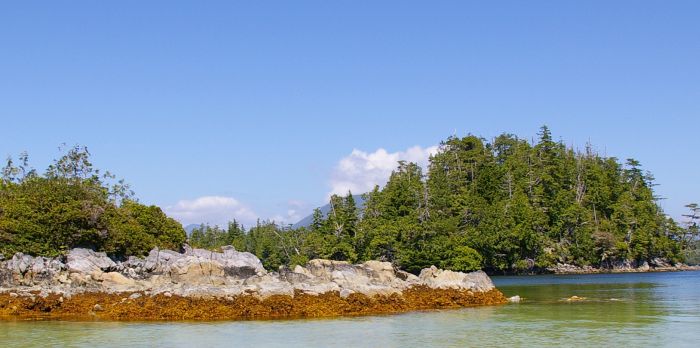 West Coast Communities Urge Campers to Reserve Sites at Authorized Campgrounds Before Venturing to the Area West Coast Communities Urge Campers to Reserve Sites at Authorized Campgrounds Before Venturing to the Area
