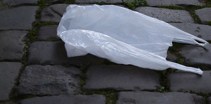 Province Approves Local Bans, Takes Action on Plastics Province Approves Local Bans, Takes Action on Plastics